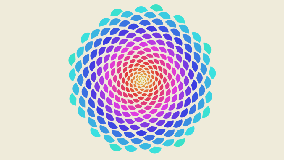 Introductory workshops